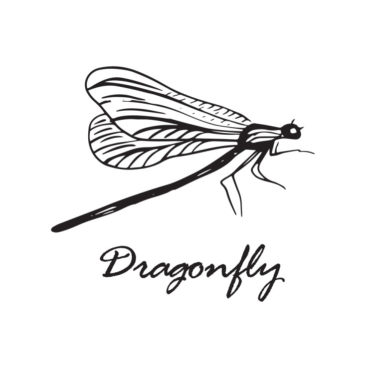 стрекоза, стоковое безумие35, stockmadness35, dragonfly
