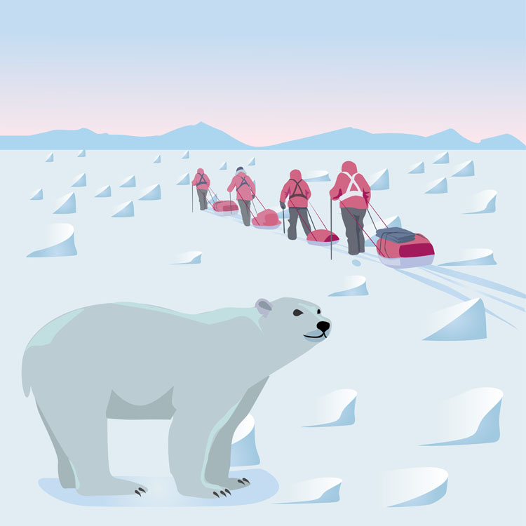 Экспедиция в Арктике