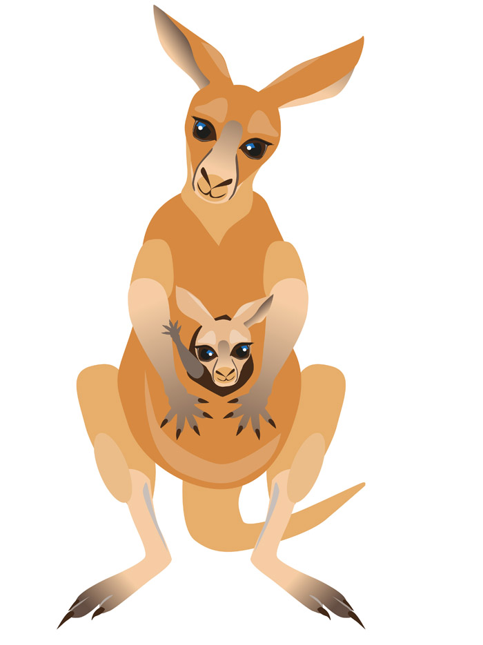 Очаровательная кенгуру с детенышем