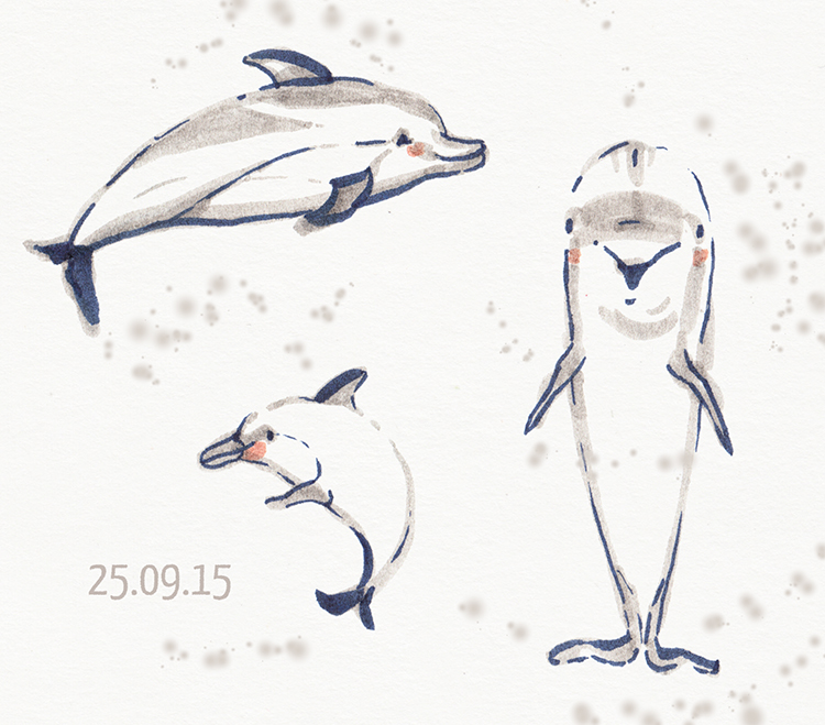 Dolphins_250915